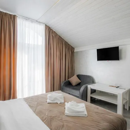 Hotel Salut 4*