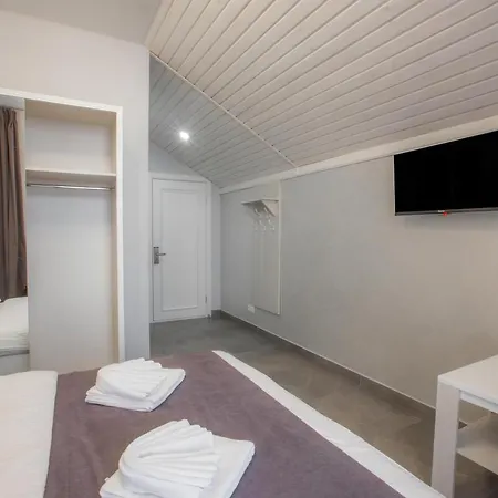 Hotel Salut 4*