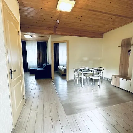 Hotel Salut